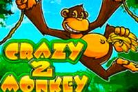 Crazy Monkey 2