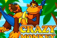 Crazy Monkey
