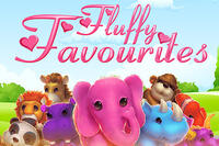 Fluffy Favourites